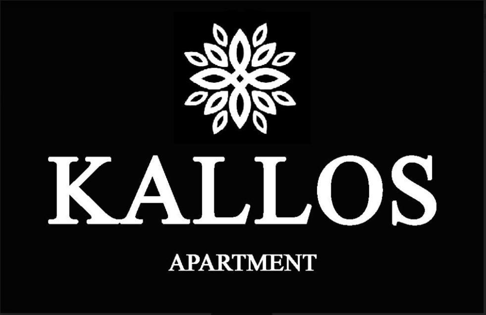 Κάλλος-Kallos Apartment Metsovo Exterior foto